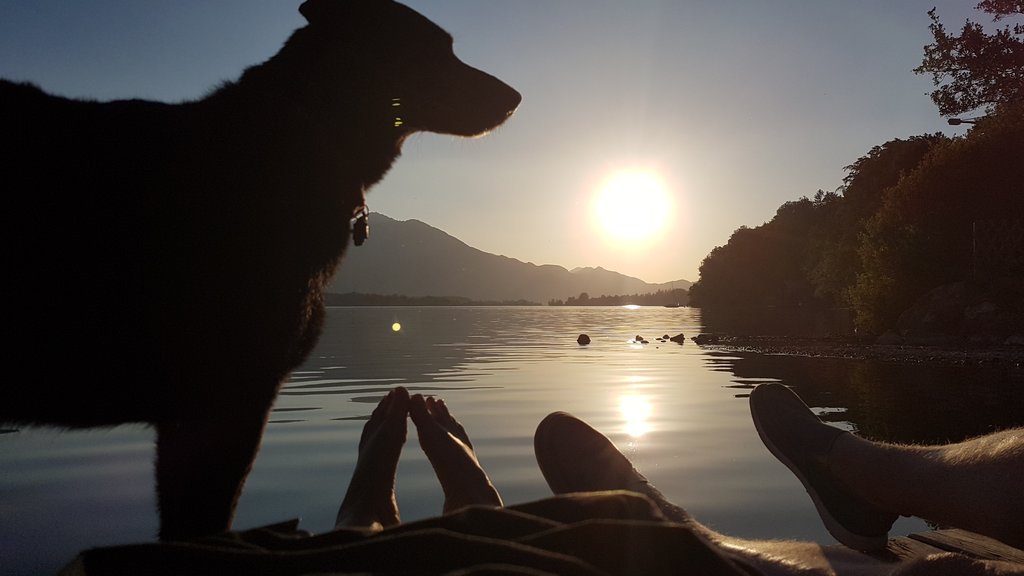 Camping mit Hund an sterreichs Seen | Expedia Explore